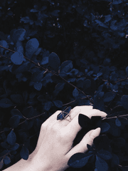 인어공주를 위하여