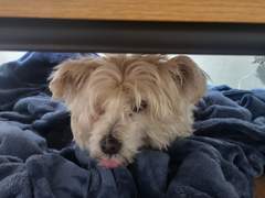 생각의 흐름대로.