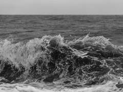 바다는 늘 나를 반겼다