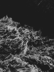 누군가들의 이야기