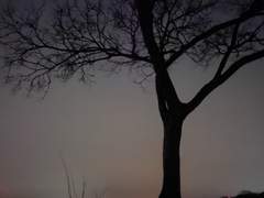 제목을 입력하세요.