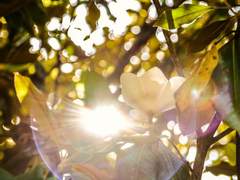 [BL] 영험한 밤의 몸종 (31) : 변화