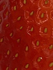 수요와 공급이 일치하지 않아 갈등을 겪는 상대가 찌찌친구입니다?