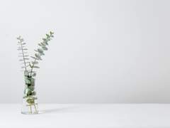 On a wing and a prayer - 2