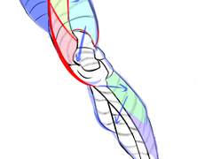 2023년 3월 18일 (토) <해부학>