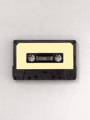 글지의 플리 연구소