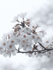 행복과 사랑이란?