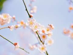 韓陽歌(한양가) 29화