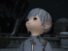 포모모 포모 Pomomo Pomo