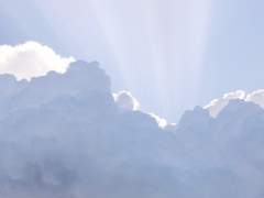 innocent ≠ 20 ≠ XX