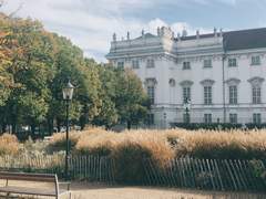 성 마틴의 여름은 사흘간 이어진다 (中)