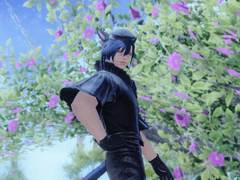 냑자님과 엘피스 + 무인도