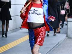 남미새들의 심리와 특징 파악하기