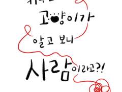 키우는 고양이가 알고 보니 사람이라고?!