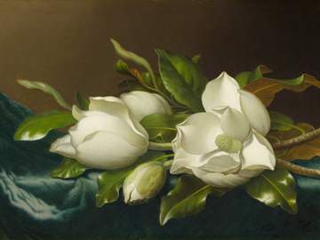 기타 캐 설정백업