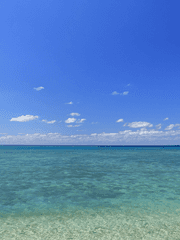 오키나와의 바다를 봤어