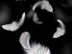 비록 들리지 않겠지만-