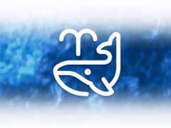 찬란했던 그날의 인형극을 위하여!