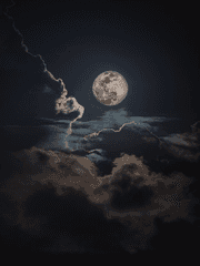 DoL 한글판 자캐들