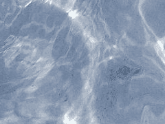 [스위트홈] 까마귀 : 2