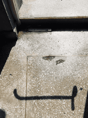 셀프(Self) 아카이브