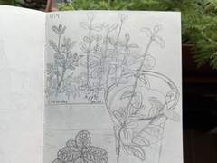 2023/03/19 봄날 창문 열고 그림