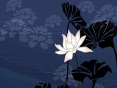 센루/ 온리센루24제 2_그대가 꿈꿀 때면