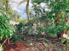 미국회계사 (AICPA) 합격수기