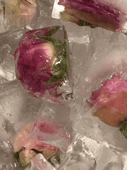 조 각 조 각 땃 따 따