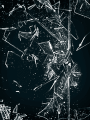 일본 워킹홀리데이