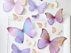 누구나도 빛나고 완벽한, 그렇기에 가여운.