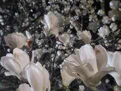 너무 늦지 않았다.