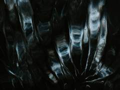 대신 쫌 전해도