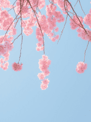 [슬램덩크] 시선의 방향