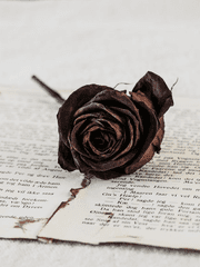 죽음에게 장미를