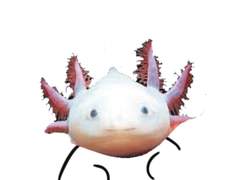 정신없는 그잊커 러닝, 관통 후기