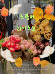 로풍면 히어로즈