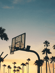 미국 우성태섭 연작