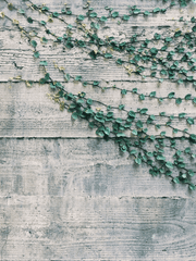 거울 너머의 그대에게