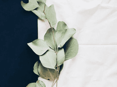 [레미우리] 마음의 창