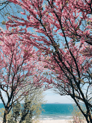 아침저녁으로 읽기 위하여