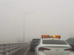 2023. 3. 20. 국제 행복의 날, 또 한주의 시작~ 그리고 황사와 여름도 시작인가?