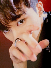 센티넬후회물소설속에들어옴