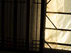 [종상] 가택침입 안전침해 금지