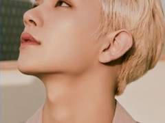 [홍윤] 로벨리아 44 -파라다이스 아일랜드