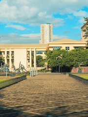 평민으로 살아남기