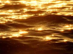 For. Kyle Phrygia _ 1