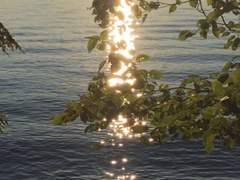 덧없는 삶도 찬란할 수 있나요