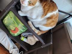 봄을 타고 있어요