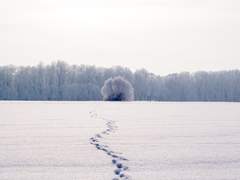 [베가멜리] 두 사랑의 발자취